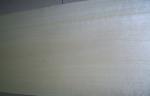 Quarter Cut Birch Wood Veneer