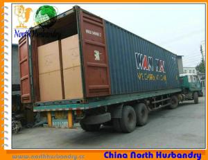 China Poultry Cooling Pad in Weifang, Shandong, China factory