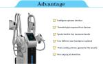 4 handpieces fat reduction cryotherapy fat freezing cryolipolysis slimming