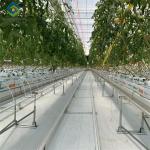 Steel Frame Garden Tomato Greenhouse Hydroponic Container System Dutch Bucket