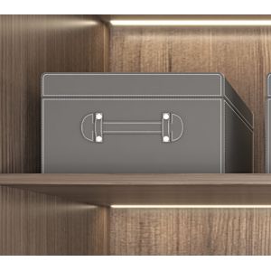 Lightweight Sturdy Wardrobe Organizer Storage Boxes Multi Purpose