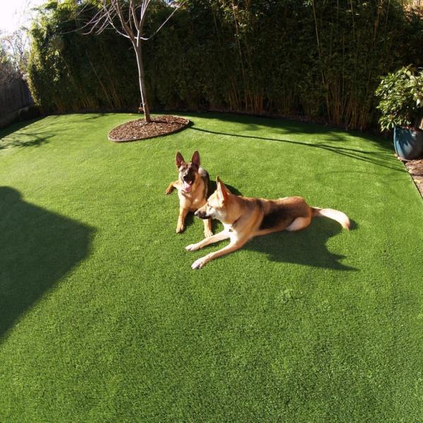 China Pet Friendly Artificial Grass No Harm To People Personal Villa Different Pile Height factory