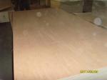 Yellow Rotary Cut Okoume Veneer For Chipboard , 0.2 mm - 0.6 mm Thickness