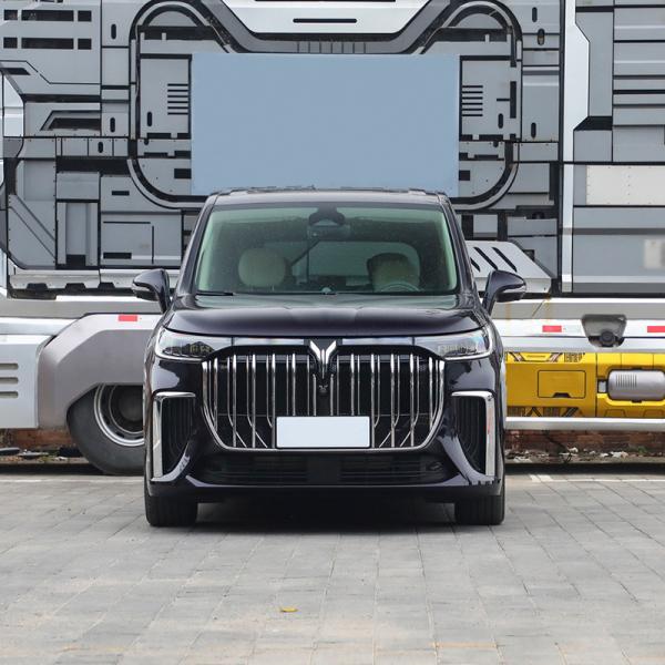 Customized Request 2024 Voyah Dream Hybrid Black Long Range Luxury Edition