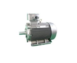 China YBX3 200L-4 Three Phase Asynchronous Motor 30kW IMB3 Industrial 3 Phase Motors factory