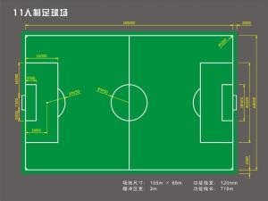 China Artificial Turf Football Field factory