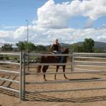 Hot Dipped Galvanized Livestock Fencing Heat Treated Pipe Corral Fencing