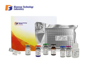China Strong Sensitivity Bovine Prolactin Sandwich Immunoassay Kit With Strong Sensitivity factory