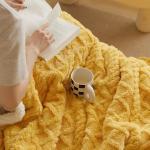 Blanket Solid Color Super Soft Thick Flannel Sherpa Fleece Blanket for Your