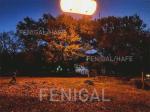 2.5m 8kW Tungsten Halogen Film Lighting Balloons