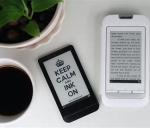 COG COF 250×122 E lnk Epaper Screen Electronic Paper Display Module SGS Active