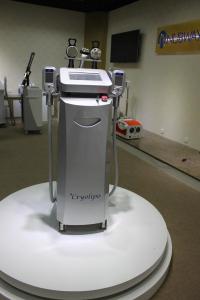China 5 Handles Cryo freezing fat cool shaping criolipolisis slimming machine factory
