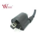 Motorcycle Ignition Coil Engine Parts CT100 High Reliability Copper Wire