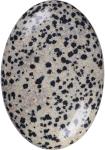 Natural Polished Dalmatian Jasper Palm Stone Oval Shaped Dalmatian Crystal