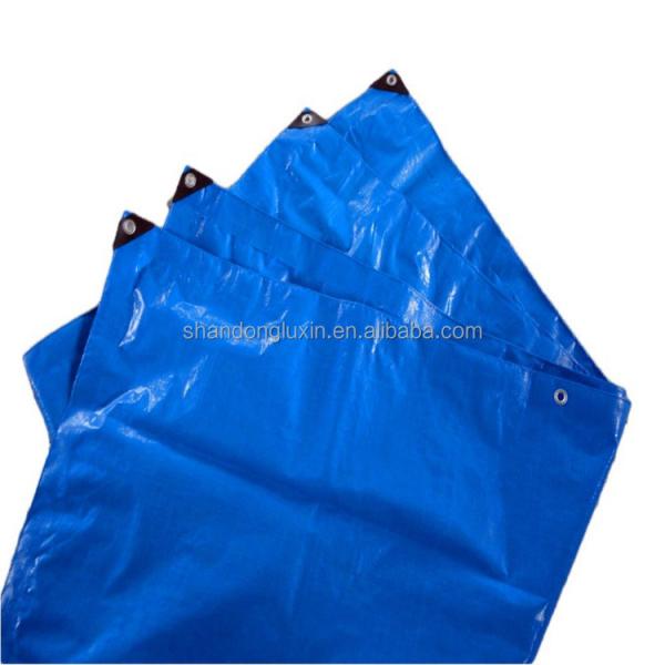 Waterproof and Moisture-Proof PE Tarpaulin in Customized Color for Outdoor