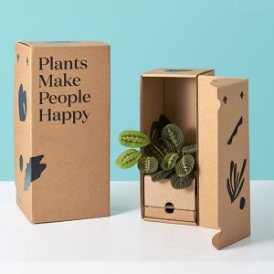 China Customized Recycled Shipping Mailer Kraft Paper Gift Packing Box Hard Corrugated factory