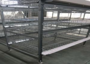 China Automatic Broiler Chicken Cage System U - Shaped Steel Fram Long Lifespan factory