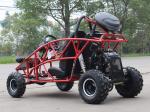 Single Cylinder CVT Transmission Go Kart Buggy 2 Seat 125cc Go Kart