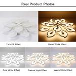 Fancy Acrylic ceiling lights Acrylic Design Ceiling Lights Bedroom Living Room