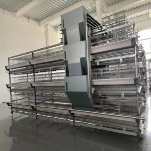 China 30000 Birds Hot Dip Galvanized Steel H Type Battery Cages For Broiler Chicken factory