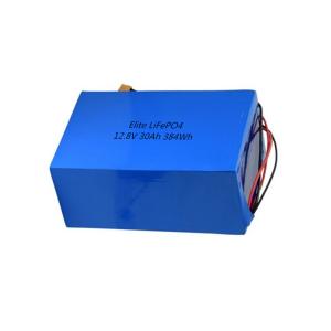 China 170mm 12V 30Ah LiFePO4 Portable Li Ion Battery Pack PVS Case factory