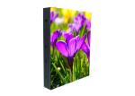 IP65 Asynchronous slim Outdoor LED Displays , large led video screen rental
