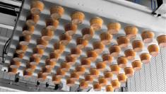China PLC Castella Cake Production Line factory