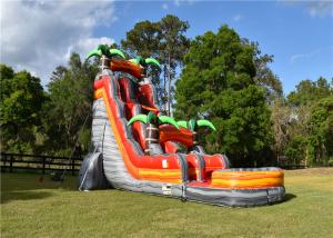China 30 FT Huge Inflatable Water Slide Environmental Friendly UV Resistant Strong Bearing on sale