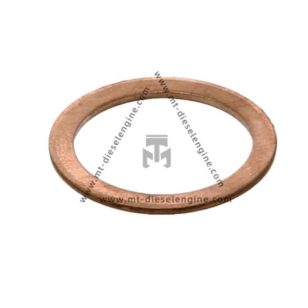 Sealing ring 01118744 01235317 0111 8744 0123 5317 1118744 1235317 For DEUTZ TD3