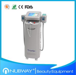 China Hot!!! Two handles Cryolipolysis slimming device(can work at the same time)with best price factory