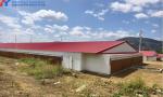 Modern Poultry Farm Chicken Farm Steel Structure Building Light Steel Structure