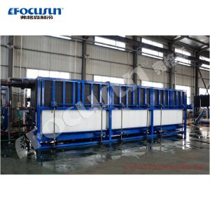 20 Tons Per Day Industrial Direct Cooling System Block Ice Maker for Ice Block