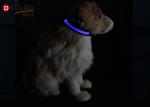 Flashing Nylon LED Dog Collar Luminous Safety Adjustable Glowing Collars