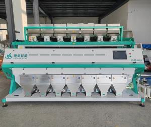 China RGB Corn Peanut Rice Buckwheat Sorting Machine High Capacity factory