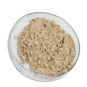 China 20000U/G 5 Phosphodiesterase Brown Powder FSSC22000 MUI Certification factory