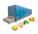 Frozen Vegetables Processing Line Belt IQF Freezer With Stainless Steel 304