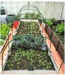 8mm 88cm 3 Foot Plastic Coated Metal Garden Plant Stakes