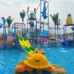 OEM ODM Wave Pool Equipment Water Park Equipment Vacuum Wave Pool
