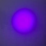 Best 100LED 395NM UV Flashlight 6*AA - Pet Detective LED Ultraviolet Blacklight