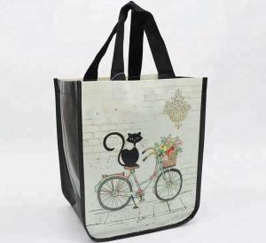 China Durable PP Non Woven Bags Silk Screen Printing Foldable With High Bearing Weight 12kg factory