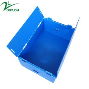 China Twin Wall Fruit Corrugated Boxes Coroplast Storage Boxes Blue factory