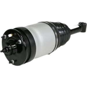 China Suspension Parts Discovery 3 Rear Air Suspension Strut Air Shock Absorbers For Land Rover LR3 LR4 RPD500800 RPD501090 Air Shock factory