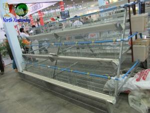 China poultry cage for large scale poultry feedcage factory