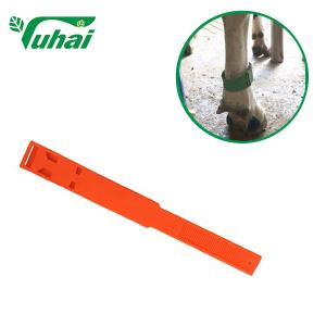 China PP Livestock Bands 36cmx4.2cm Colorful Leg Bands For Cow Or Cattle factory