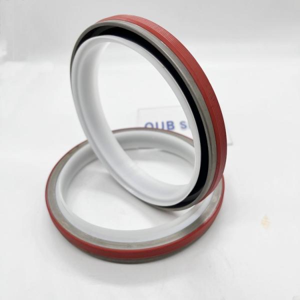 3934486 3968563 3968563 5259499 Crankshaft Rear Oil Seal For S4D102 S6D102 6D114