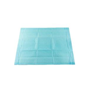China 1200ml Disposable Pee Pads Nonwoven Blue Ribbon Puppy Pads S 33x45cm factory