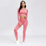 Seamless Knitting Women Activewear Sets 260gsm 2 Piece Yoga Sets