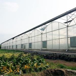 China Multi Span Film Greenhouse Structure Commercial Frames Large Plants Growing factory
