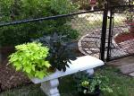 Chain wire fence protects and decorates garden and sports yard