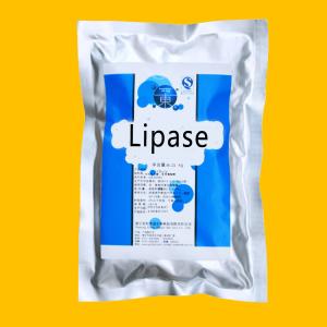 China Food Baking Lipase Powder Customized Lipase Enzyme Powder Soluble In Water factory